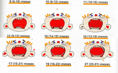 Preguntas y respuestas Odontopediatria «Erupción de los dientes de mi hijo»